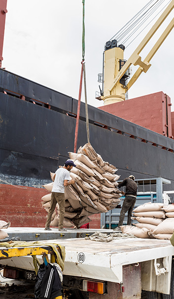 Importation des produits à caractère conjoncturel